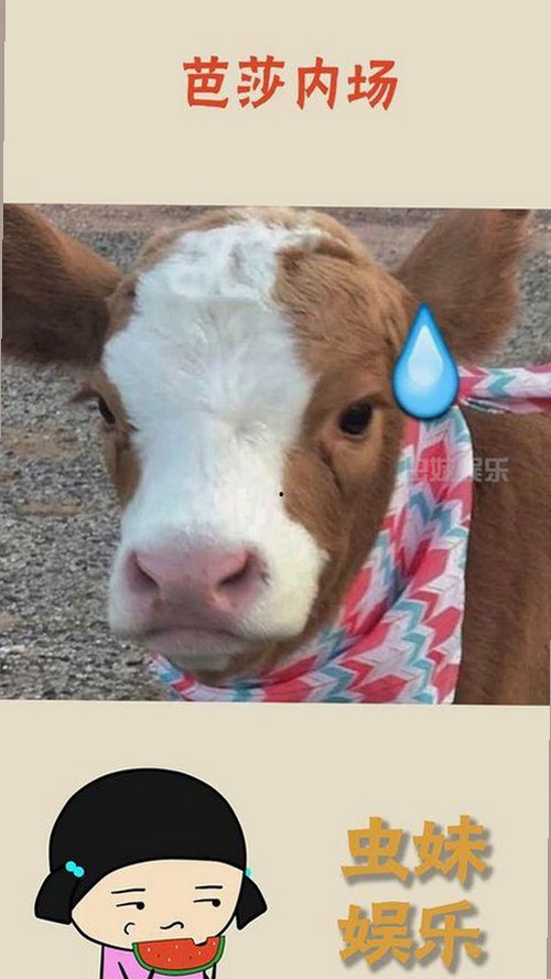 国产视频暗流涌动：九九视频的视听盛宴究竟藏着什么？🎬